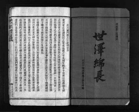 浙江陈氏族谱-洪川陡门陈氏宗谱 [不分卷].pdf电子版预览图1