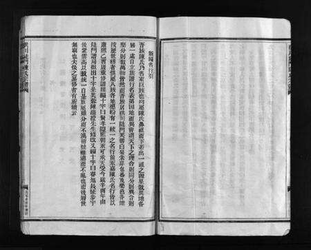 浙江陈氏族谱-洪川陡门陈氏宗谱 [不分卷].pdf电子版预览图4
