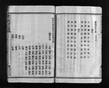 浙江陈氏族谱-洪川陡门陈氏宗谱 [不分卷].pdf电子版预览图5