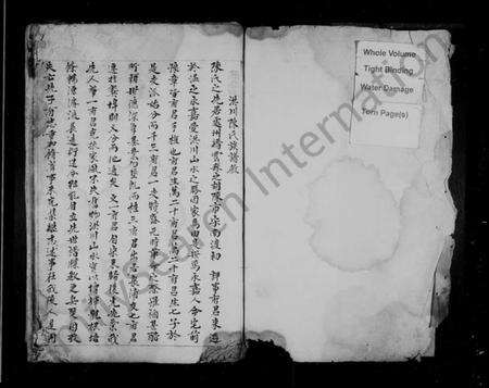 浙江陈氏族谱-洪川陈氏族谱.pdf电子版预览图1