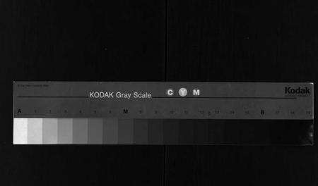 浙江马氏族谱-浙南闽北马氏谱首通志.pdf电子版缩略图