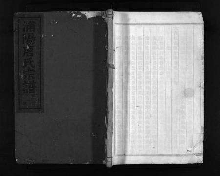 浙江唐氏族谱-浦阳唐氏宗谱 [10卷].pdf电子版预览图1