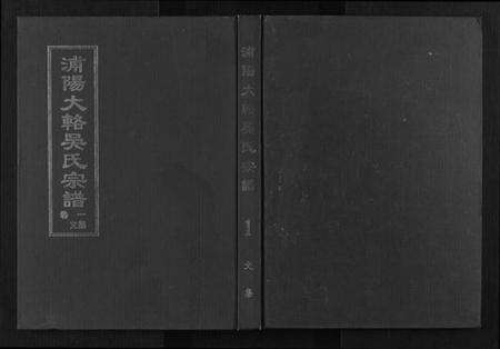 浙江吴氏族谱-浦阳大辂吴氏宗谱[10卷].pdf电子版缩略图