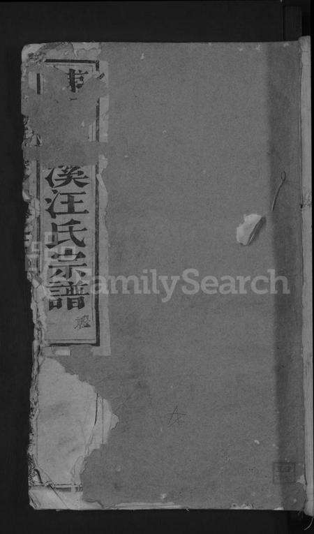 浙江汪氏族谱-浦阳汪氏宗谱[总卷数不详].pdf电子版缩略图