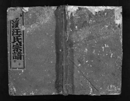 浙江汪氏族谱-浦阳沙溪汪氏宗谱 [2册].pdf电子版预览图1