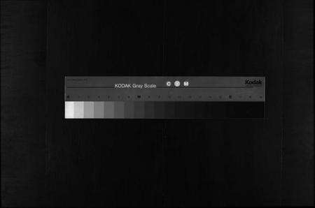 浙江陈氏族谱-浦阳清塘陈氏宗谱 [5卷].pdf电子版缩略图