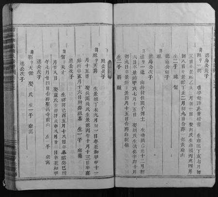 浙江楼氏族谱-浦阳华塘楼氏宗谱[3卷].pdf电子版预览图3