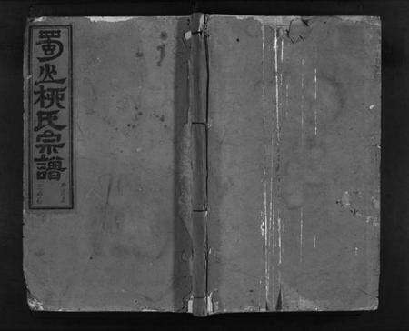 浙江柳氏族谱-浦阳蜀山柳氏宗谱 [17卷].pdf电子版预览图1