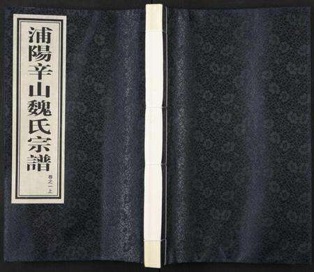 浙江魏氏族谱-浦阳辛山魏氏宗谱 [5卷].pdf电子版缩略图