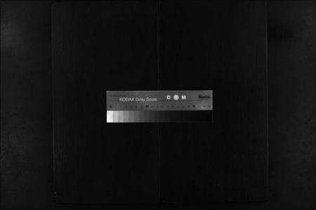 浙江郑氏族谱-浦阳郑氏宗谱 [8卷].pdf电子版缩略图