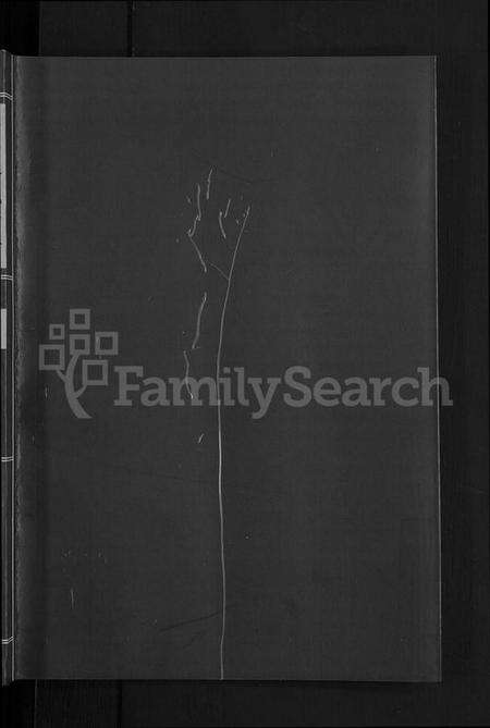 浙江金氏族谱-浦阳金氏宗谱 [4卷].pdf电子版预览图1