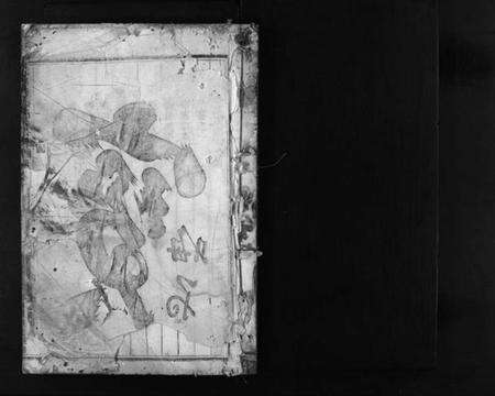 浙江汪氏族谱-浦阳钟山汪氏宗谱 [残卷].pdf电子版预览图2