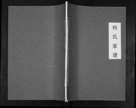 湖北何氏族谱-何氏家谱[不分卷].pdf电子版缩略图