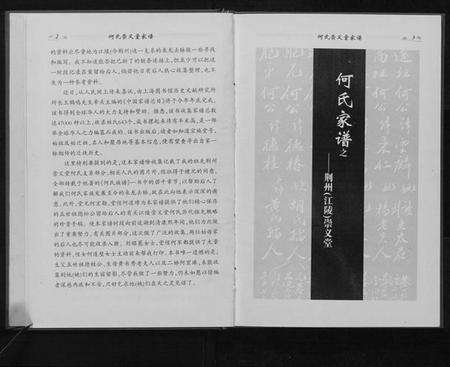 湖北何氏族谱-何氏崇义堂家谱[不分卷].pdf电子版预览图4