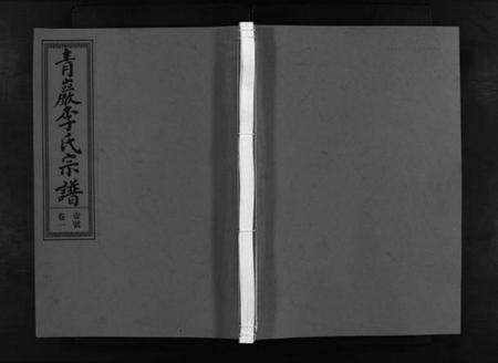 浙江李氏族谱-浦阳青岩李氏宗谱 [5卷].pdf电子版预览图1