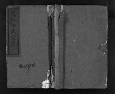 浙江陈氏族谱-浦阳龙城陈氏宗谱 [21卷].pdf电子版预览图1