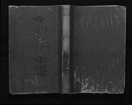 江苏洪氏族谱-洪氏宗谱[不分卷].pdf电子版缩略图