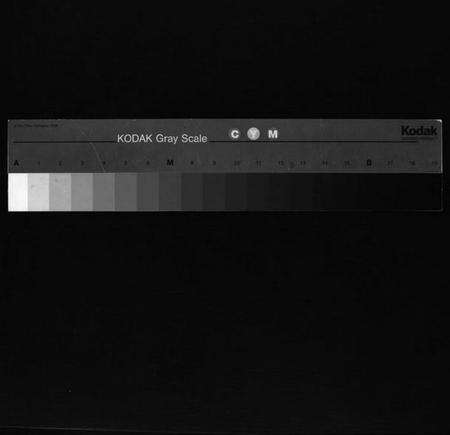 浙江蔡氏族谱-海口蔡氏宗谱 [不分卷].pdf电子版缩略图