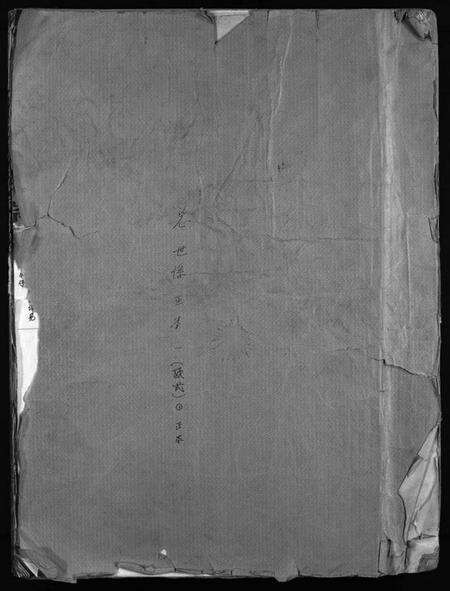 浙江蔡氏族谱-海口蔡氏宗谱 [不分卷].pdf电子版预览图1