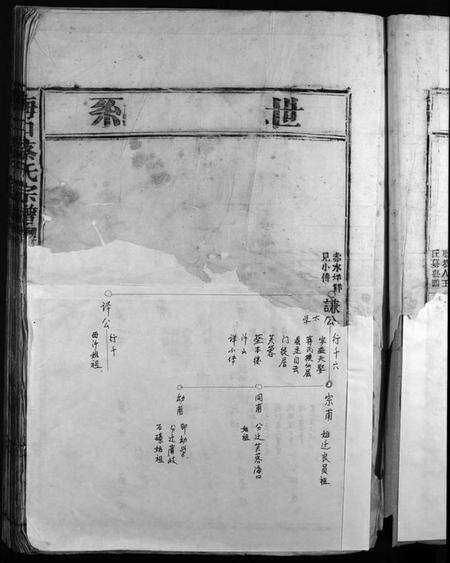 浙江蔡氏族谱-海口蔡氏宗谱 [不分卷].pdf电子版预览图5