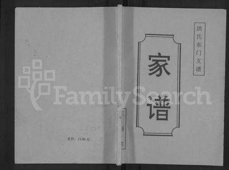 江苏洪氏族谱-洪氏东门支谱 [不分卷].pdf电子版缩略图