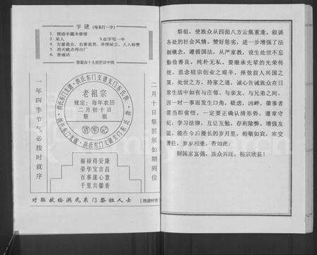 江苏洪氏族谱-洪氏东门支谱 [不分卷].pdf电子版预览图2