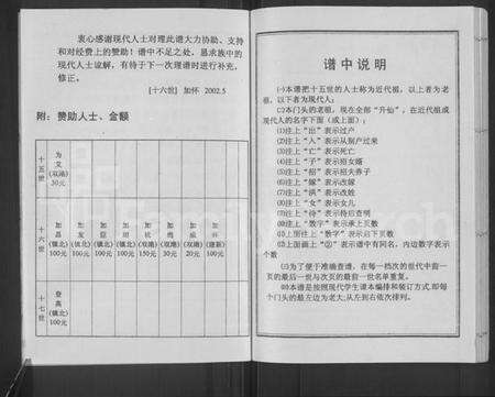 江苏洪氏族谱-洪氏东门支谱 [不分卷].pdf电子版预览图3