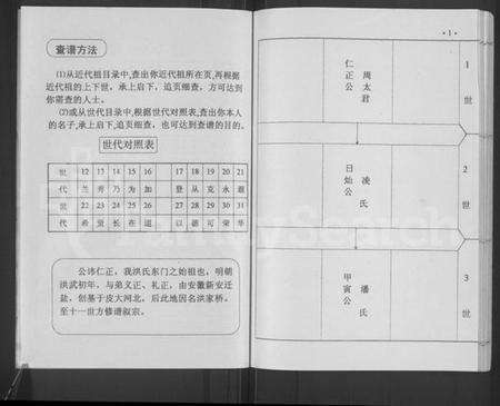 江苏洪氏族谱-洪氏东门支谱 [不分卷].pdf电子版预览图5
