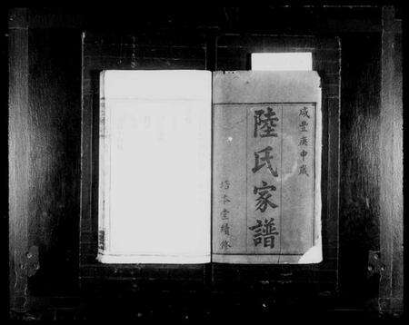 湖南陆氏族谱-陆氏家谱[3卷及首末].pdf电子版预览图2