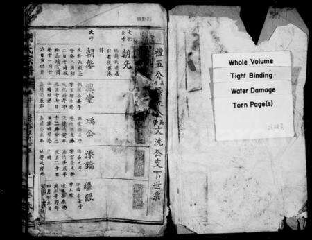 中国胡氏族谱-胡氏宗谱.pdf电子版预览图1