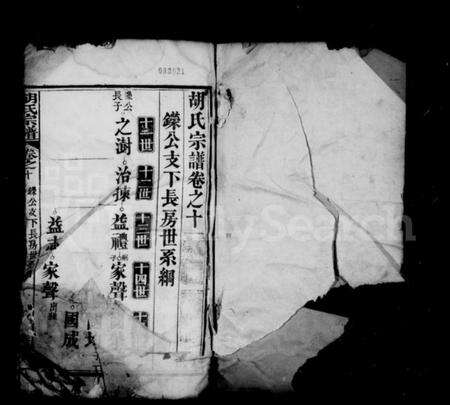 中国胡氏族谱-胡氏宗谱.pdf电子版预览图2