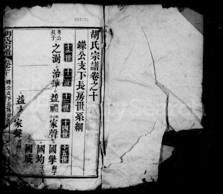 中国胡氏族谱-胡氏宗谱.pdf电子版预览图3