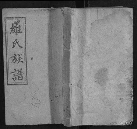 湖南罗氏族谱-罗氏九房族谱.pdf电子版缩略图