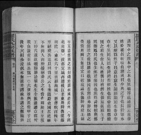 湖南罗氏族谱-罗氏九房族谱.pdf电子版预览图2