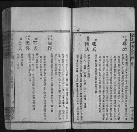 湖南罗氏族谱-罗氏九房族谱.pdf电子版预览图4