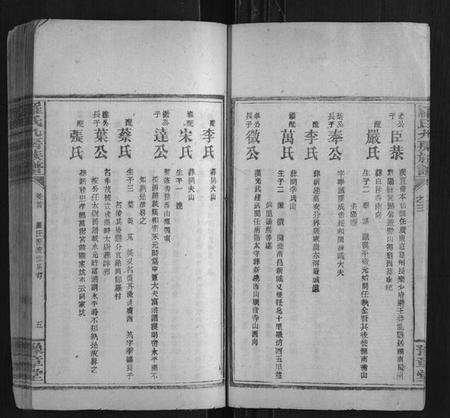 湖南罗氏族谱-罗氏九房族谱.pdf电子版预览图5