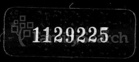 浙江张氏族谱-清河张氏支谱.pdf电子版缩略图