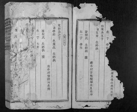 浙江张氏族谱-清河郡张氏宗谱.pdf电子版预览图2