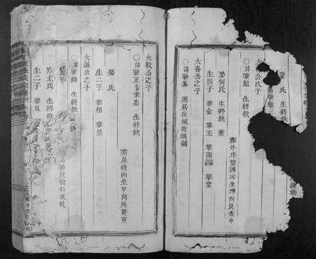 浙江张氏族谱-清河郡张氏宗谱.pdf电子版预览图5