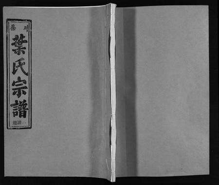 浙江叶氏族谱-渠川叶氏宗谱 [不分卷].pdf电子版预览图1