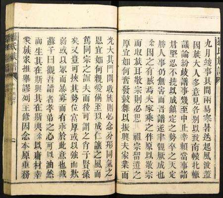 湖南罗氏族谱-罗氏族谱.pdf电子版预览图2