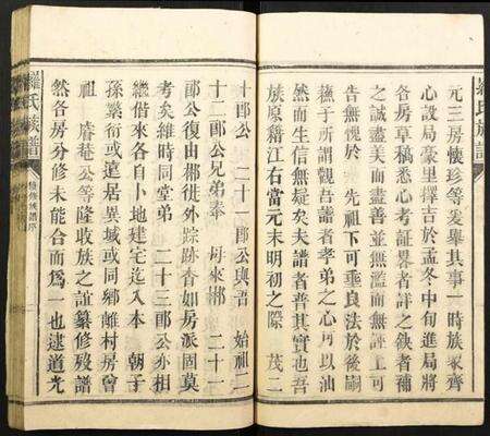 湖南罗氏族谱-罗氏族谱.pdf电子版预览图4