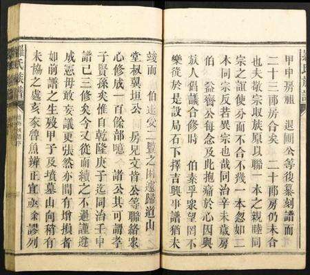 湖南罗氏族谱-罗氏族谱.pdf电子版预览图5