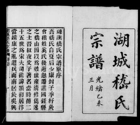 浙江嵇氏族谱-湖城嵇氏宗谱 [10卷, 含卷首末].pdf电子版预览图2