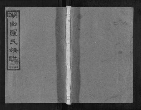 浙江罗氏族谱-湖山罗氏族谱[各房分卷].pdf电子版缩略图