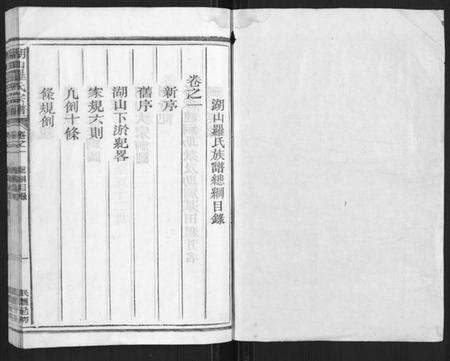 浙江罗氏族谱-湖山罗氏族谱[各房分卷].pdf电子版预览图1