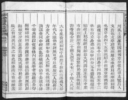 浙江罗氏族谱-湖山罗氏族谱[各房分卷].pdf电子版预览图4