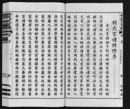 江苏胡氏族谱-安定胡氏宗谱[13卷].pdf电子版预览图5