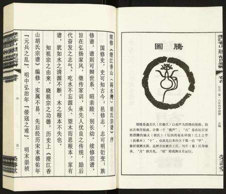 江苏胡氏族谱-澄江香山两水湾胡氏宗谱.pdf电子版预览图2