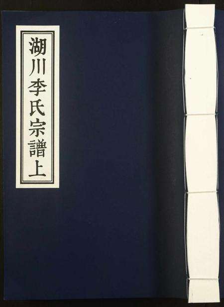 浙江李氏族谱-湖川李氏宗谱.pdf电子版缩略图